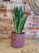 Load image into Gallery viewer, Gisela Graham Purple Flower Arc ceramic indoor plant pot