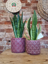 Load image into Gallery viewer, Gisela Graham Purple Flower Arc ceramic indoor plant pot