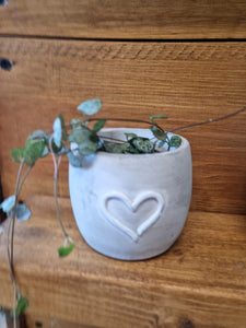 Love Amour baby heart planter/plant pot and plant gift