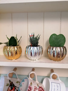 Mini Glamour indoor plant pot