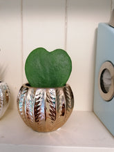 Load image into Gallery viewer, Mini Glamour indoor plant pot
