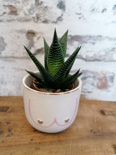 Load image into Gallery viewer, Sass and Belle Boobies Mini Planter/Plant Pot