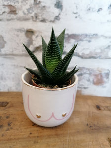 Sass and Belle Boobies Mini Planter/Plant Pot