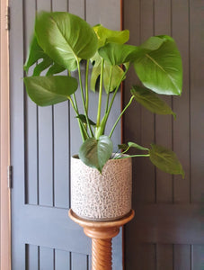 Gisela Graham grey succulents ceramic pot cover/plant pot