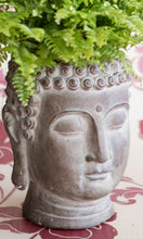 Load image into Gallery viewer, Buddha indoor planter/plant pot