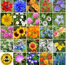 Load image into Gallery viewer, Save the Bees/Bee Friendly Seeds