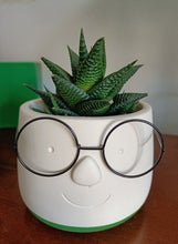 Load image into Gallery viewer, Mini Nerd with glasses indoor plant pot 6cm